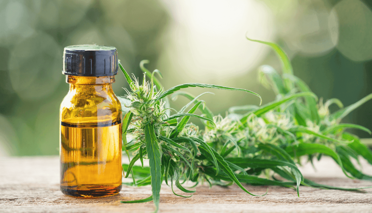 Cannabis Extrakt Fläschchen mit Cannabispflanze 